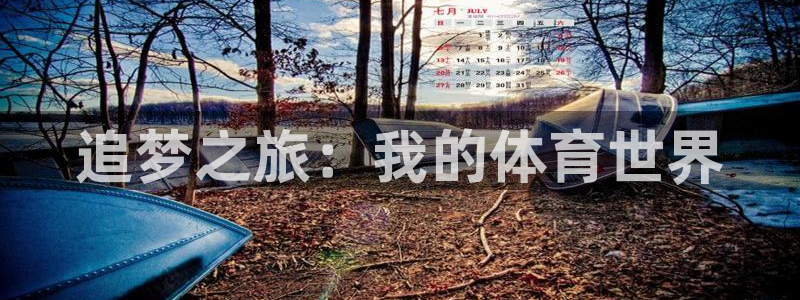 3377体育官方正版app集团logo:追梦之旅:我的体育世